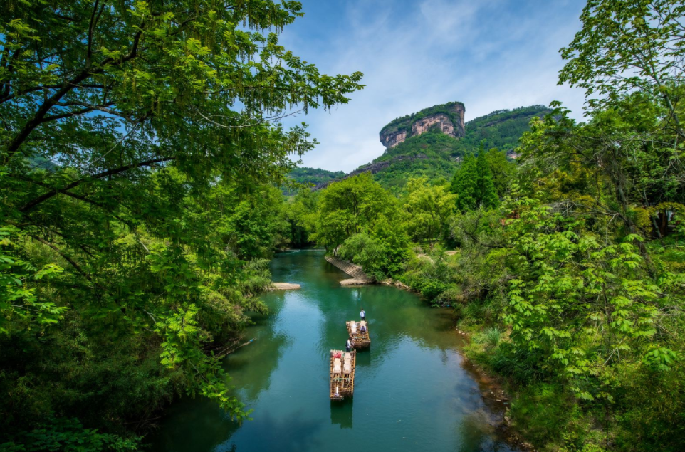 武夷山最新预约消息，探索旅游新动向