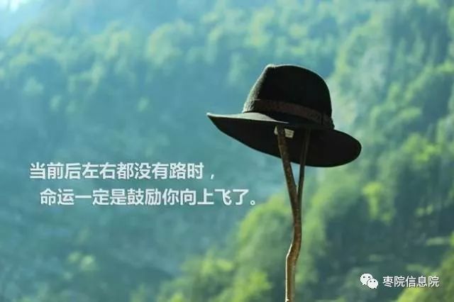 平凡的荣耀最新大结局，荣耀之路的终点与人生的启示