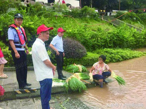 泸州翡翠滨江最新房价动态及市场趋势分析