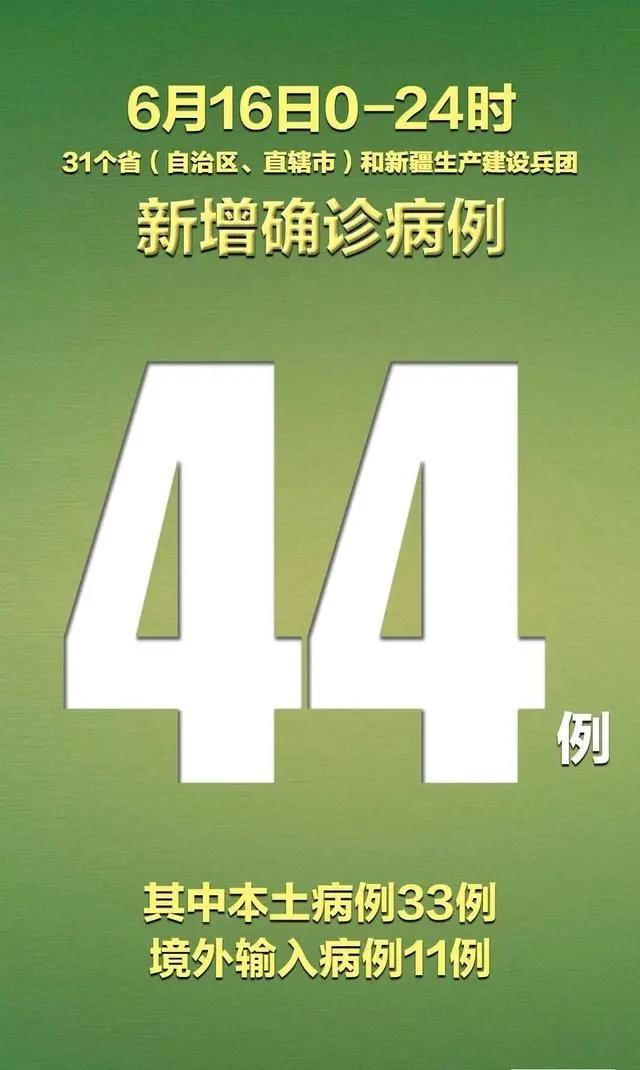 新发地疫情源头最新结论，揭示真相与未来防控之路